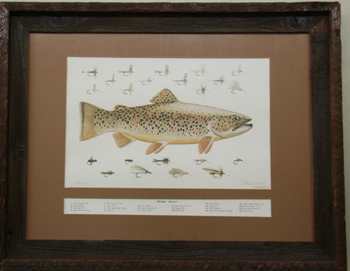 brown trout by Eldridge Hardie 1970